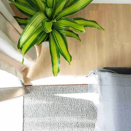 בוקרשט Bright 2Br Apartment - Top Location - City Balcony מראה חיצוני תמונה